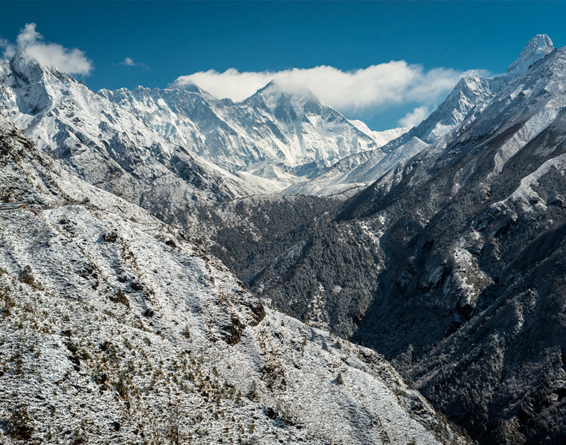 甜蜜的手机号自动轰炸
